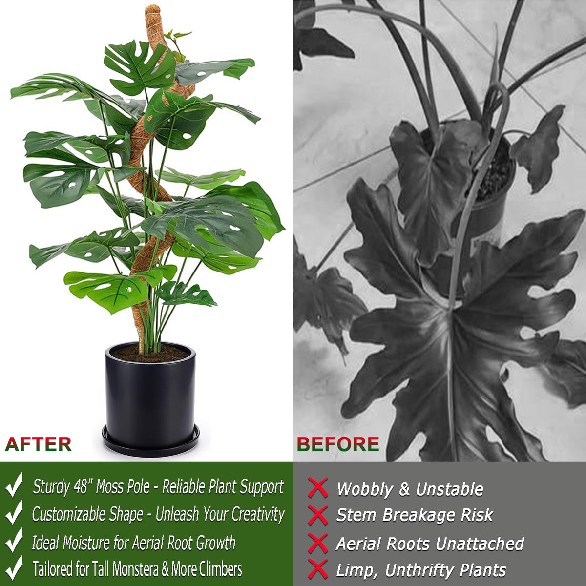 Soupiar two-pack moss poles provide long-term climbing plant support.