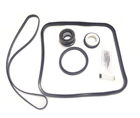 Southeastern Accessory Hayward pump kit front view for DIY maintenance and leak prevention.
