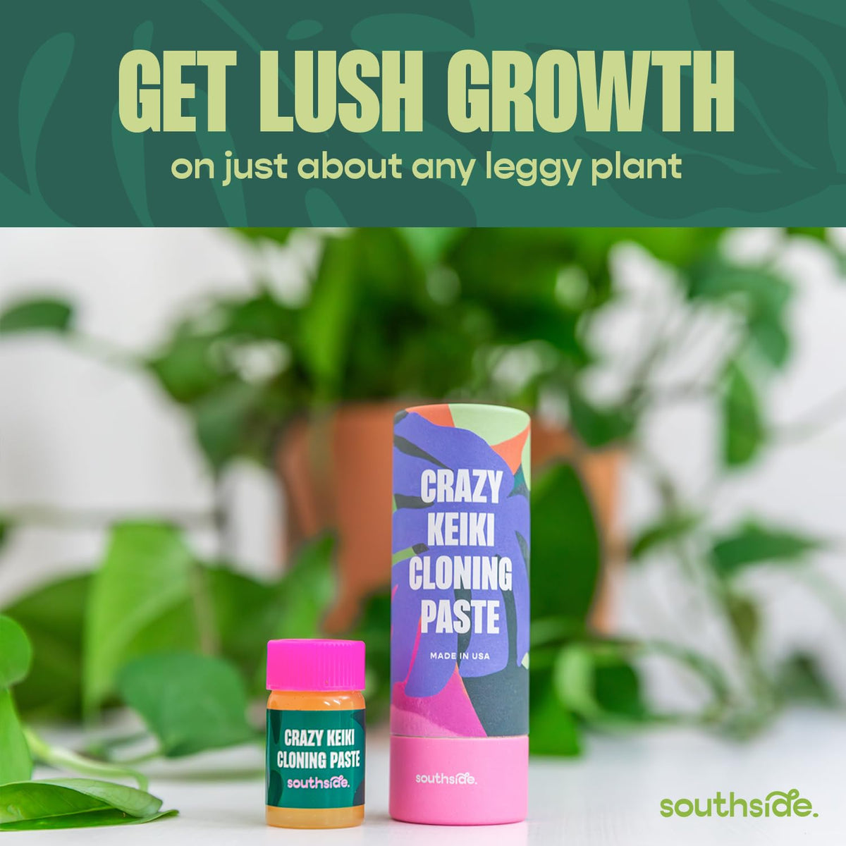 Keiki paste on leggy vines encourages fuller, balanced growth