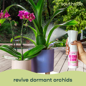 Southside Plants Orchid Bloom bottle delivering bloom-boosting nutrition