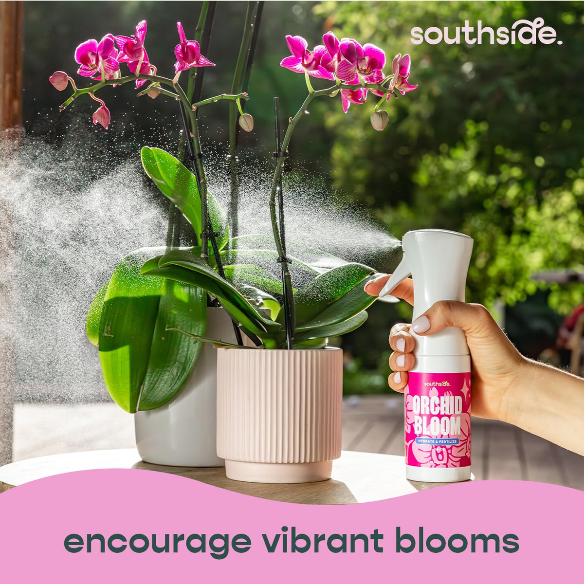 Southside Plants Orchid Bloom packets mix into water to start bloom spray