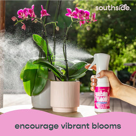 Southside Plants Orchid Bloom packets mix into water to start bloom spray