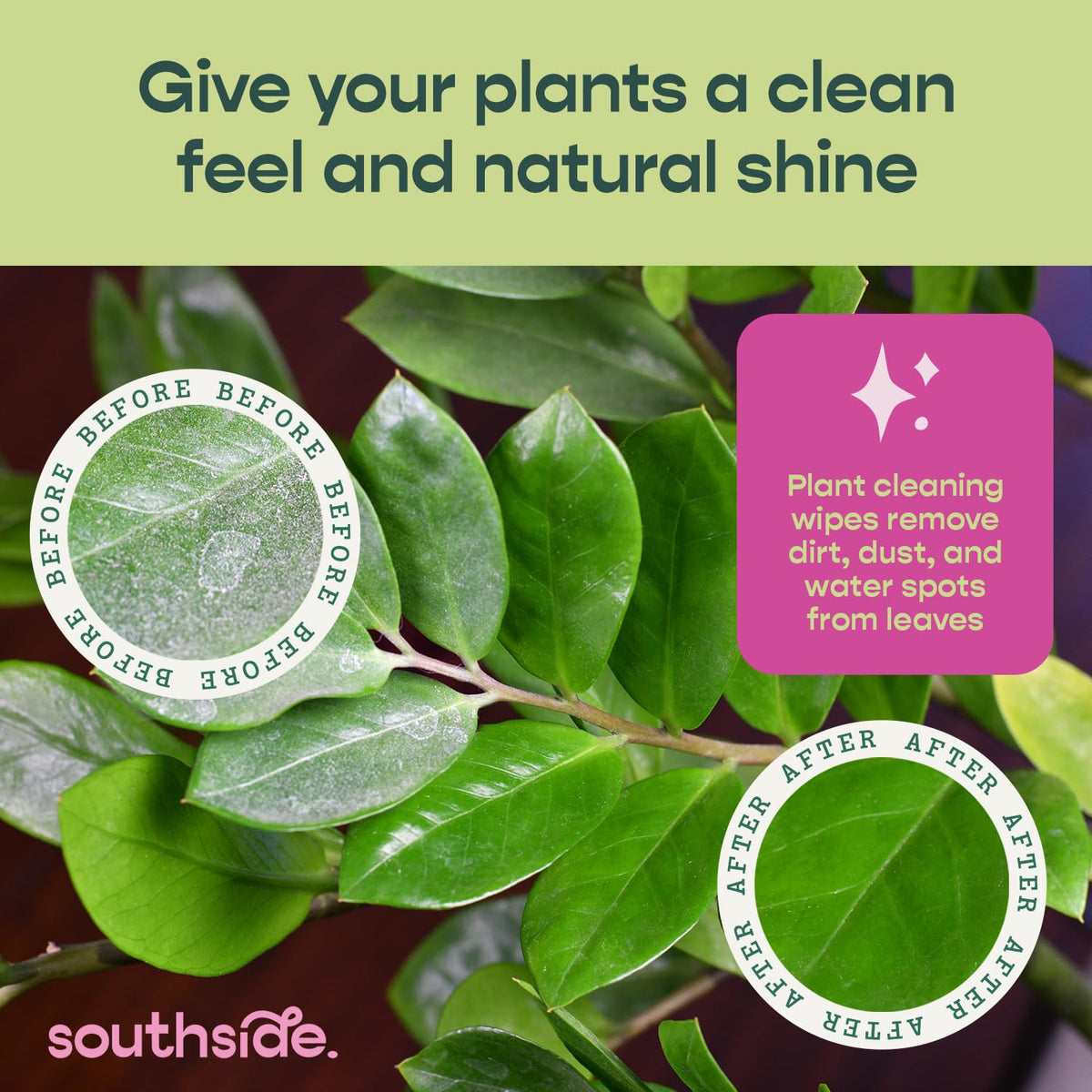 Southside Plants Plant Cleaning Wipes dust removal keeps indoor leaves clean for better light capture