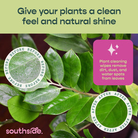 Southside Plants Plant Cleaning Wipes dust removal keeps indoor leaves clean for better light capture