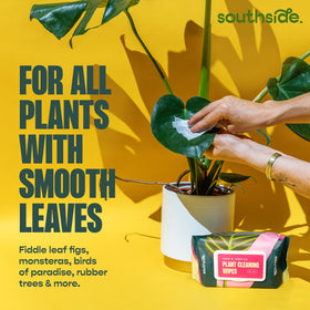 Southside Plants Plant Cleaning Wipes extra thick waffle texture traps dust