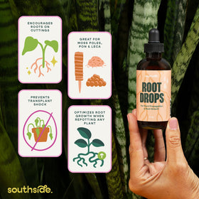 Southside Plants Root Drops cuttings with roots highlighting strong root formation.