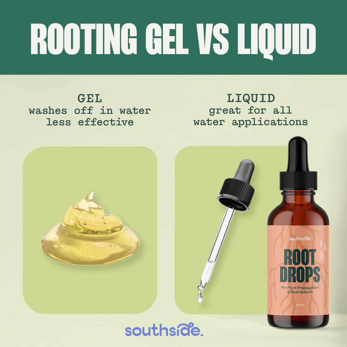 Southside Plants Root Drops water propagation in a cup demonstrates quick, simple method.