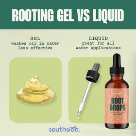 Southside Plants Root Drops water propagation in a cup demonstrates quick, simple method.