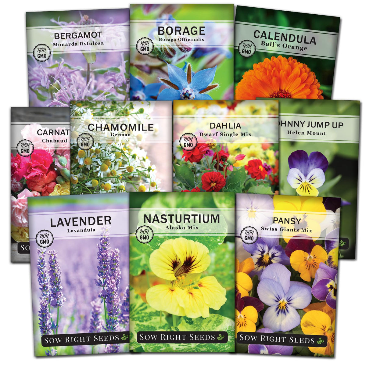 Sow Right Seeds Alaska Nasturtium packet — bright edible flowers for salads.