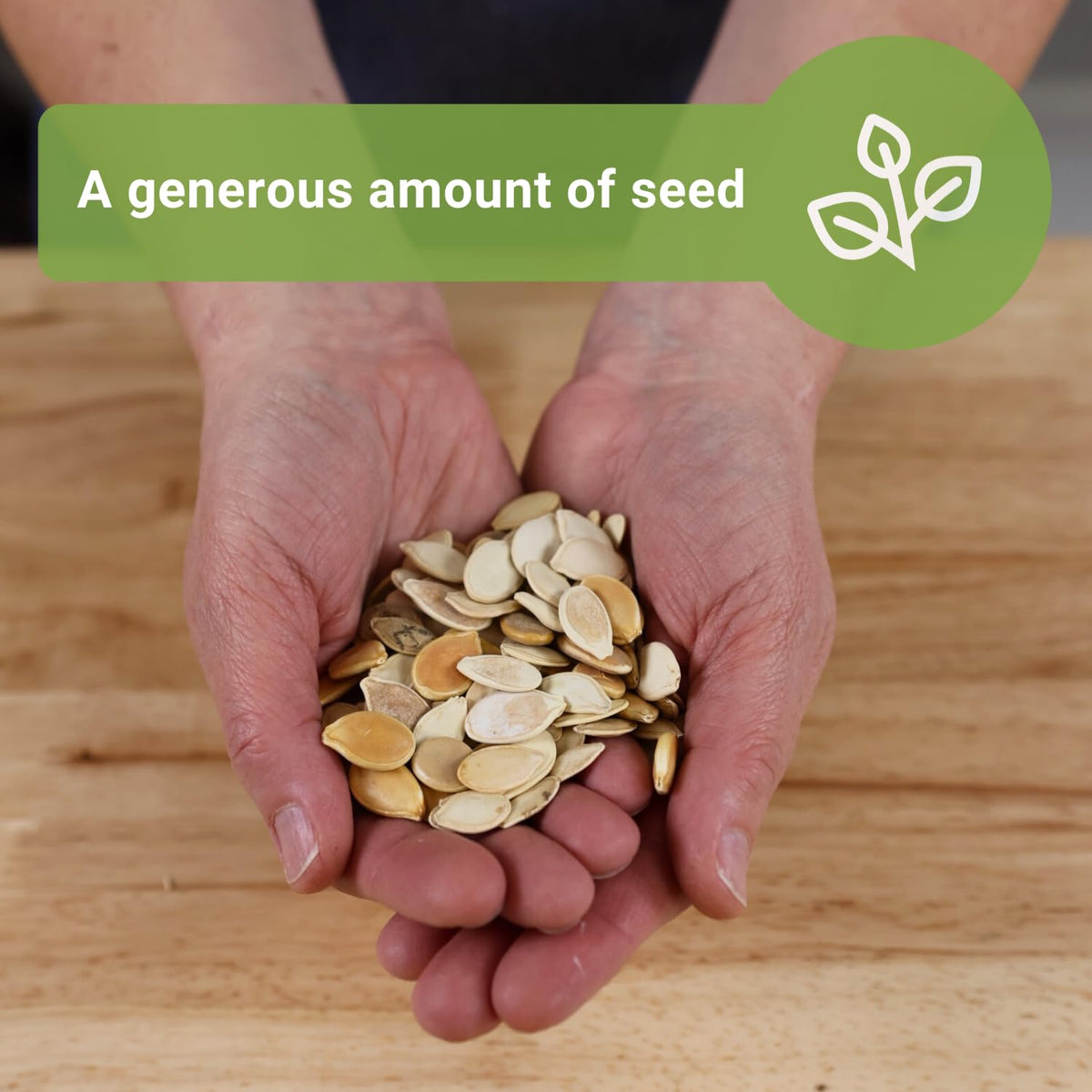 Sow Right Seeds Big Max pumpkin seeds for large, decorative pumpkins.