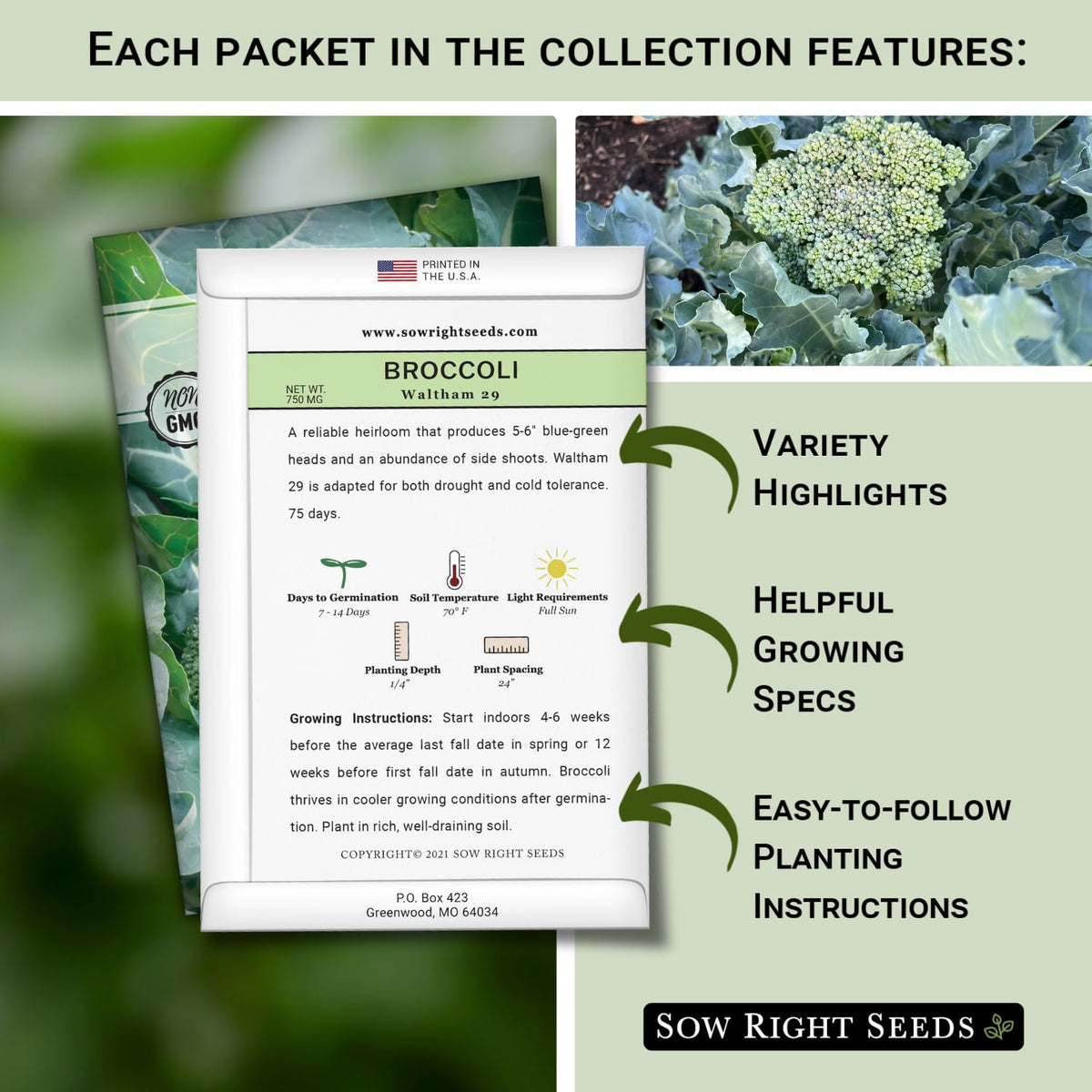 Sow Right Seeds broccoli Romanesco packet highlighting fractal heads for dramatic garden displays.