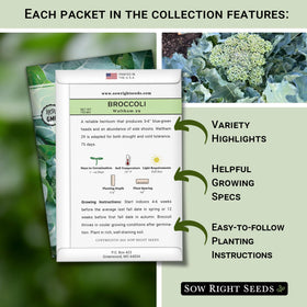 Sow Right Seeds broccoli Romanesco packet highlighting fractal heads for dramatic garden displays.