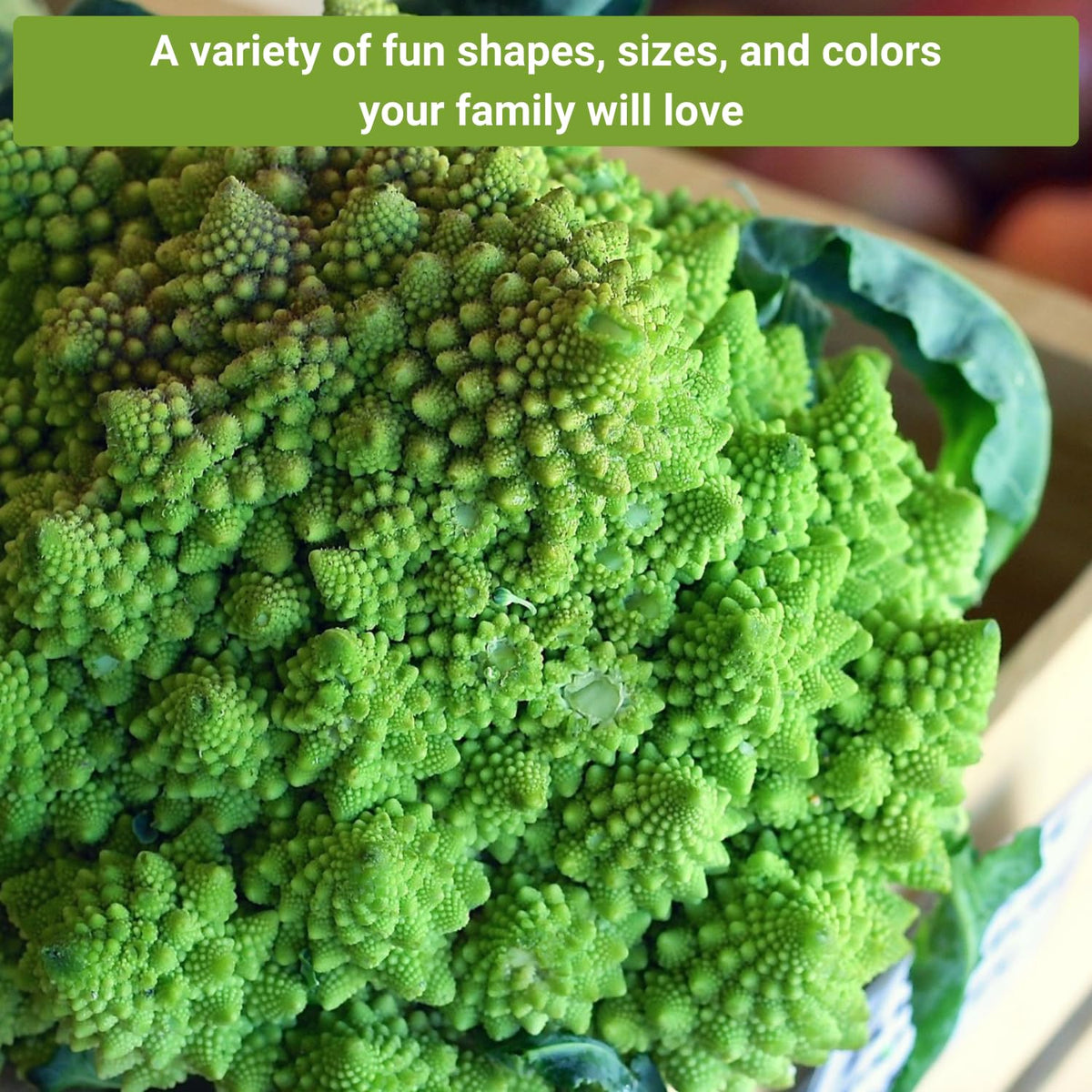 Sow Right Seeds broccoli Waltham heads packet showing classic green heads for family meals.