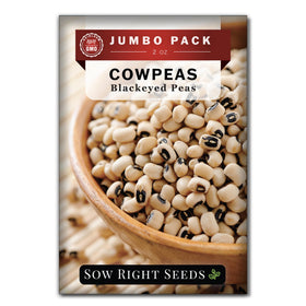 Sow Right Seeds bulk black-eyed cowpea seeds ready for planting in home gardens.