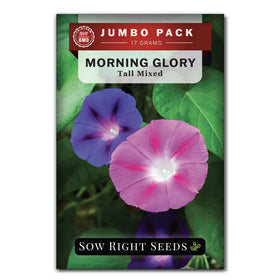 Sow Right Seeds bulk morning glory seeds packet front view ready to plant.