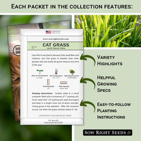 Sow Right Seeds cat-grass seed collection pack ready for indoor or outdoor cat greens
