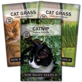 Sow Right Seeds catnip seed collection pack for indoor or outdoor planting and pet-friendly greens