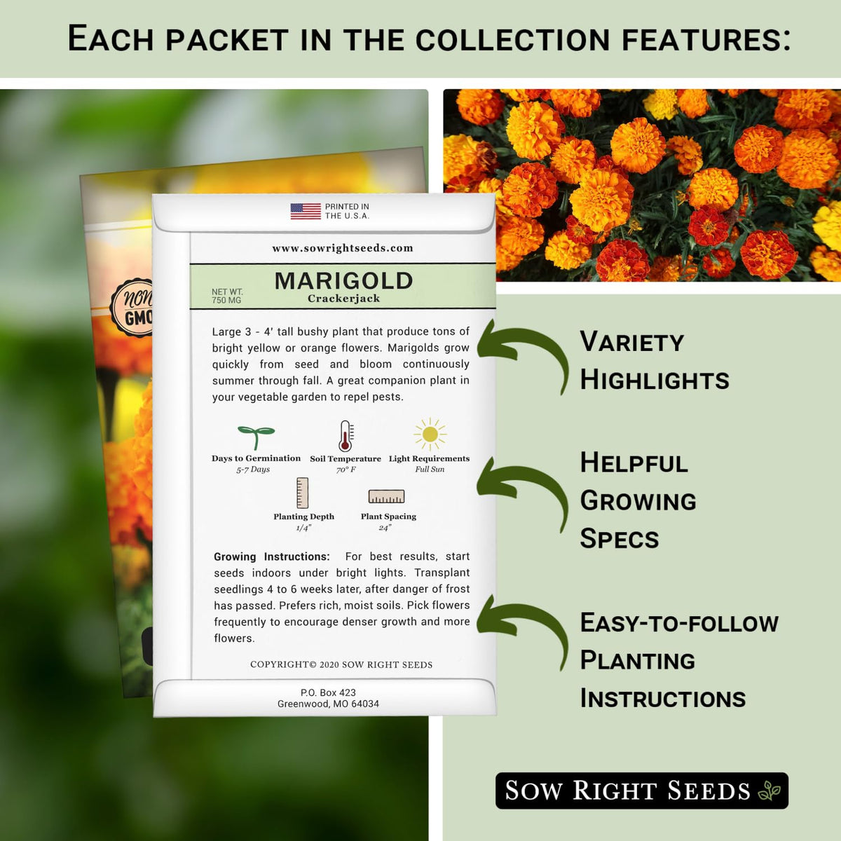 Sow Right Seeds catnip seed packet attracts beneficials while deterring pests.