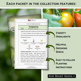 Sow Right Seeds Large Red Cherry tomato seeds in a seed packet for classic tang