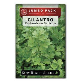Sow Right Seeds cilantro bulk seeds packet for easy home herb gardening.