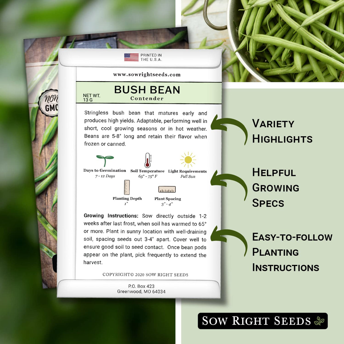 Contender bean plants thriving in sunny garden conditions from Sow Right Seeds