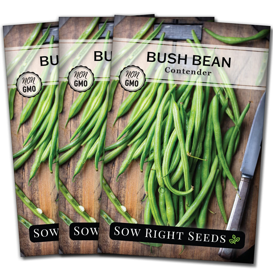 Sow Right Seeds Contender bush bean seeds packet ready for planting in the garden