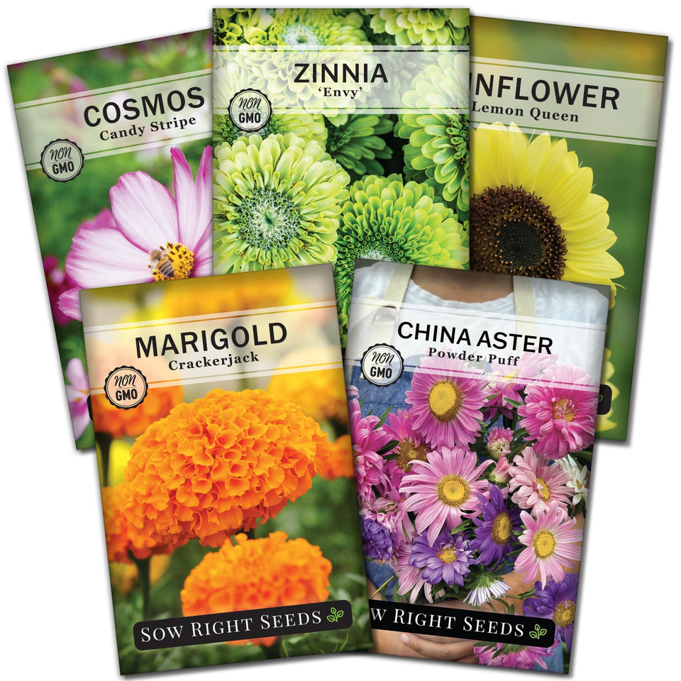 Sow Right Seeds Crackerjack marigold packet—bright border blooms for sunny garden beds.