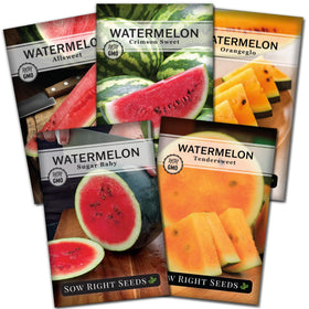 Sow Right Seeds Crimson Sweet watermelon packet for large patches and home harvests.