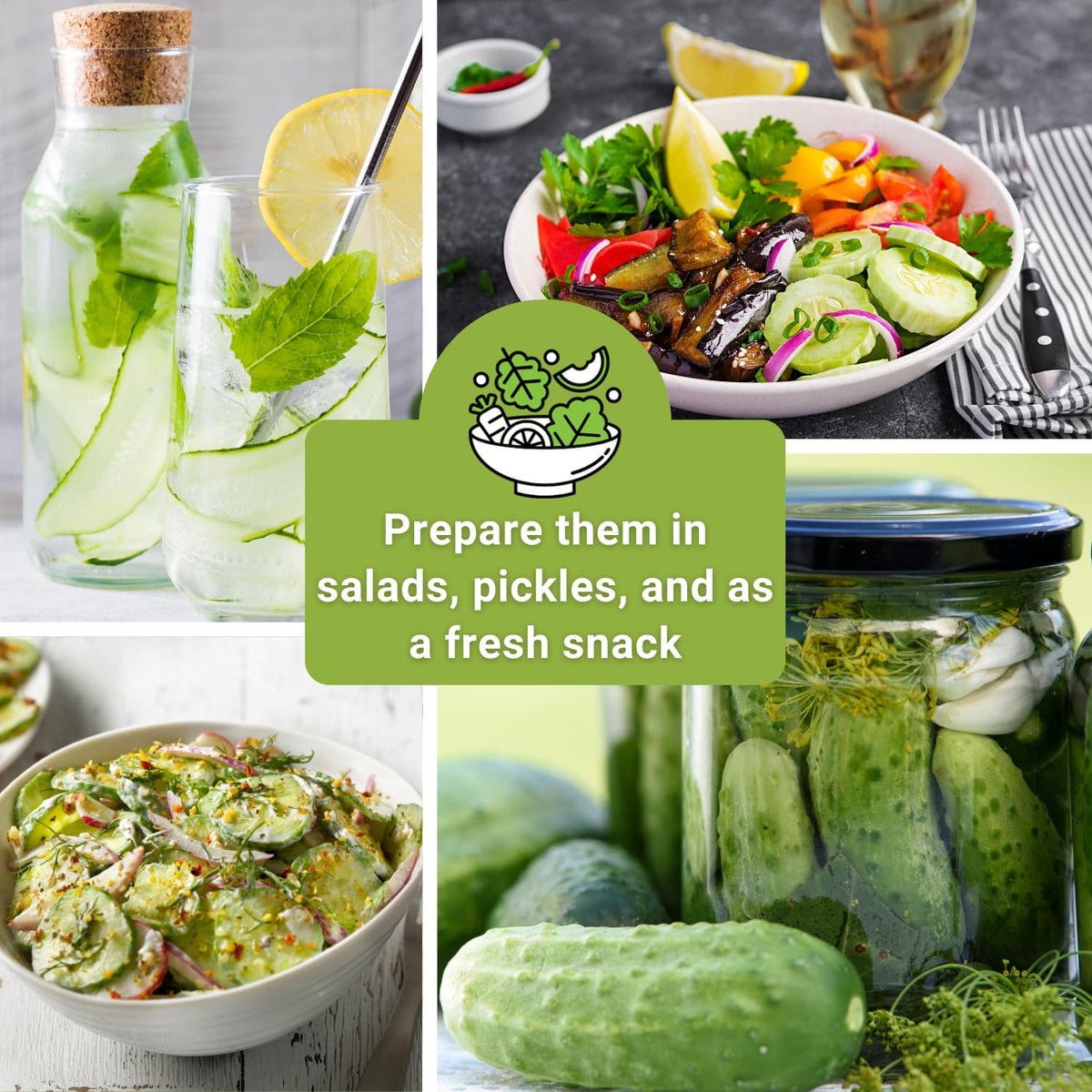 Sow Right Seeds Marketmore cucumber, robust vines for abundant harvests.