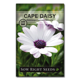 Sow Right Seeds daisy collection offers easy growing and nonstop color