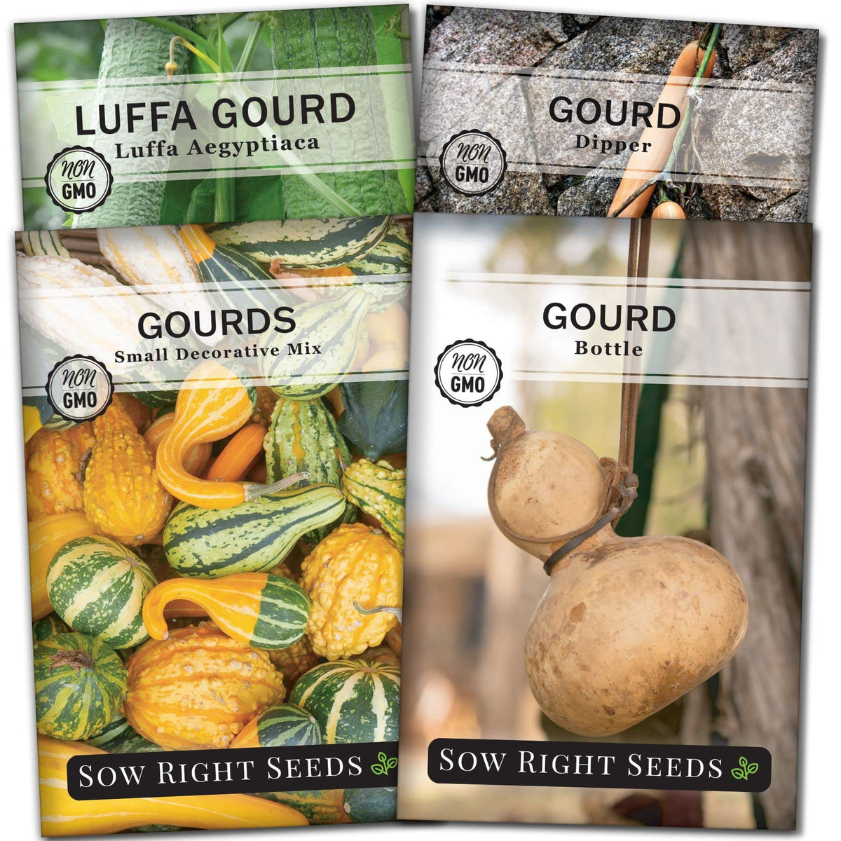 Sow Right Seeds decorative gourds packet for colorful crafts and autumn décor