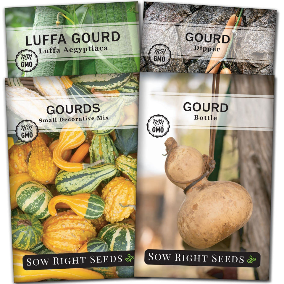 Sow Right Seeds decorative gourds packet for colorful crafts and autumn décor