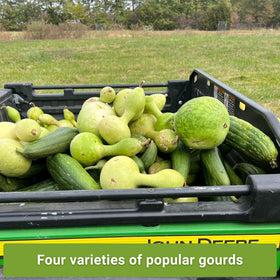 Sow Right Seeds dipper gourds packet ideal for rustic decor and birdhouses