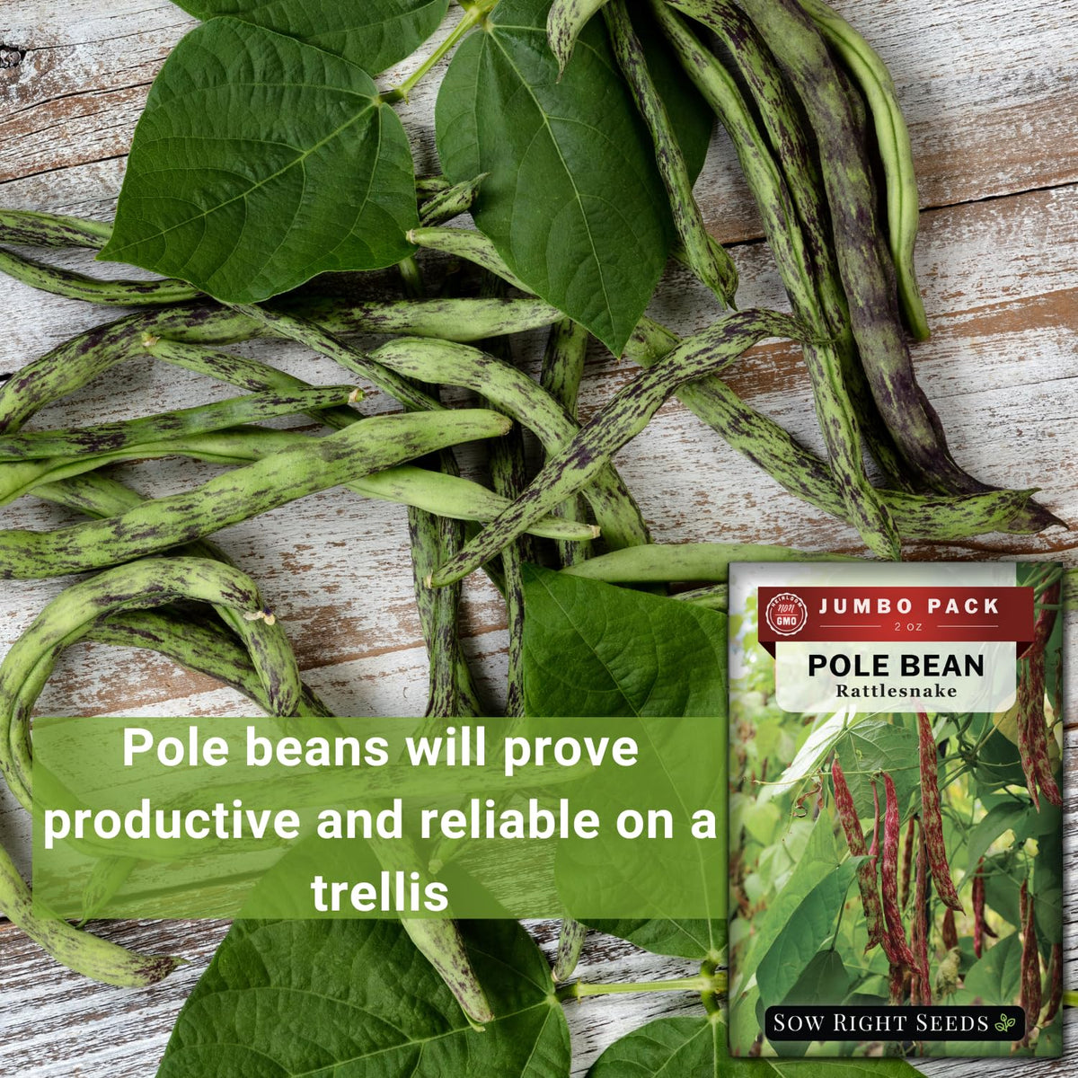 Sow Right Seeds easy-to-follow planting instructions support successful home gardening.