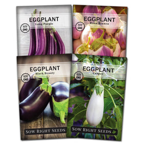 Sow Right Seeds Black Beauty eggplant seeds packet front view for easy home gardening