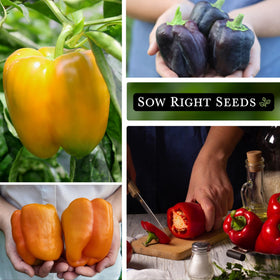 Sow Right Seeds Emerald Giant pepper seeds for large, colorful peppers.