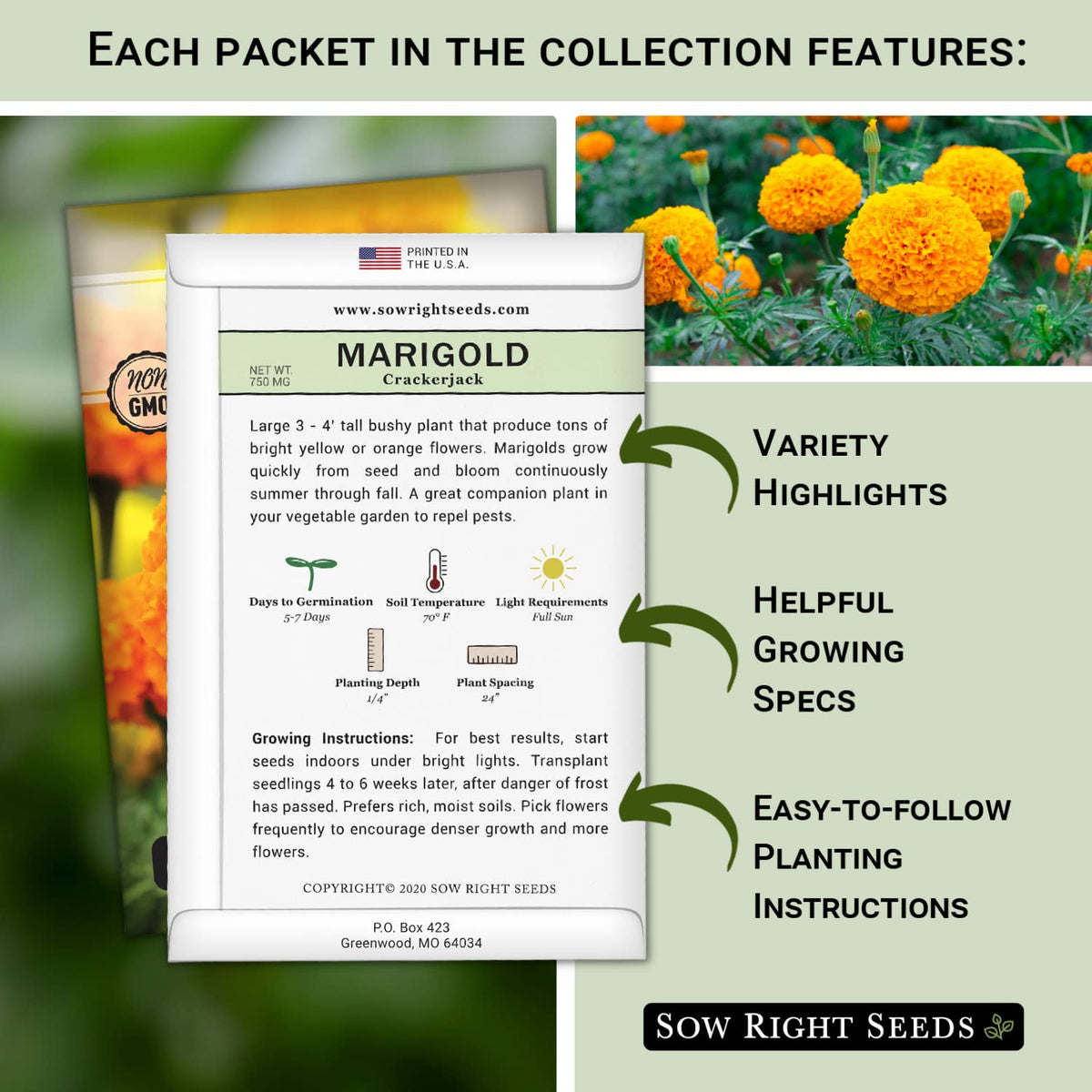 Sow Right Seeds Envy zinnia packet—bold, long-lasting color for cut arrangements.