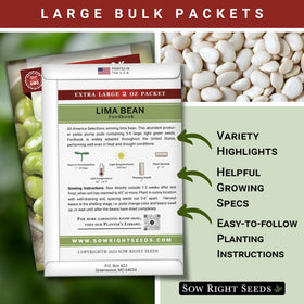 Sow Right Seeds Fordhook Lima bean germination in soil shows quick sprouting for an abundant harvest.