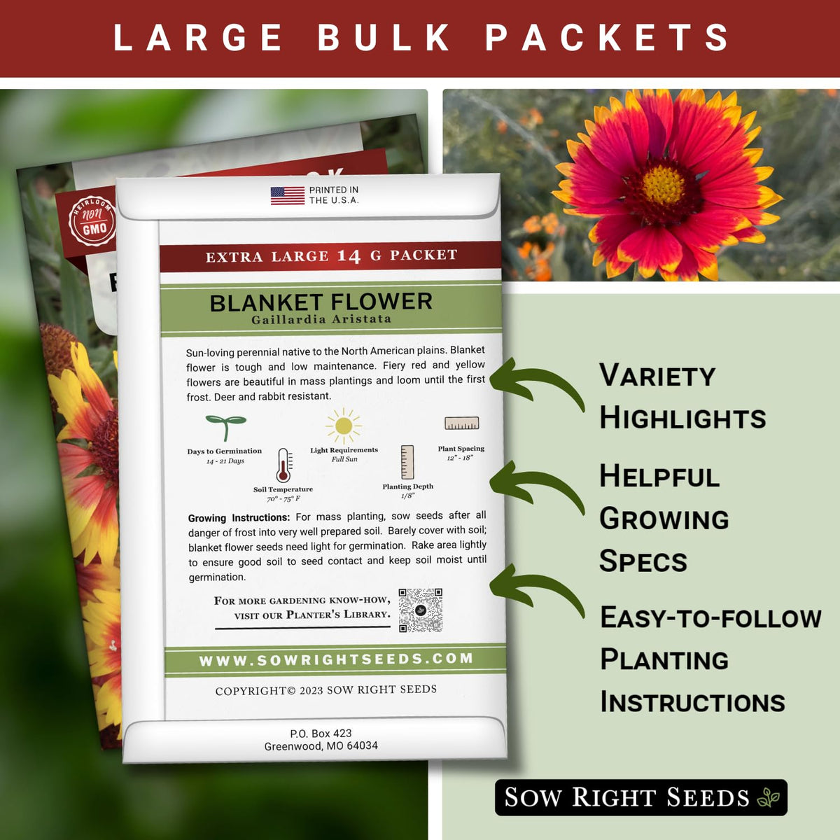 Sow Right Seeds gaillardia aristata bloom for perennial garden color