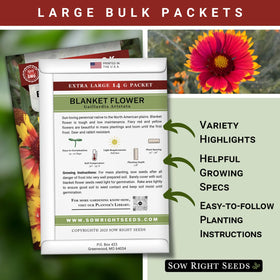 Sow Right Seeds gaillardia aristata bloom for perennial garden color