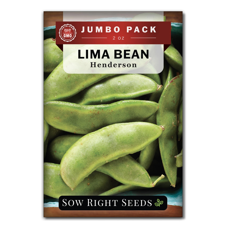 Sow Right Seeds Henderson Lima bean seeds bulk packet ready for planting in home gardens