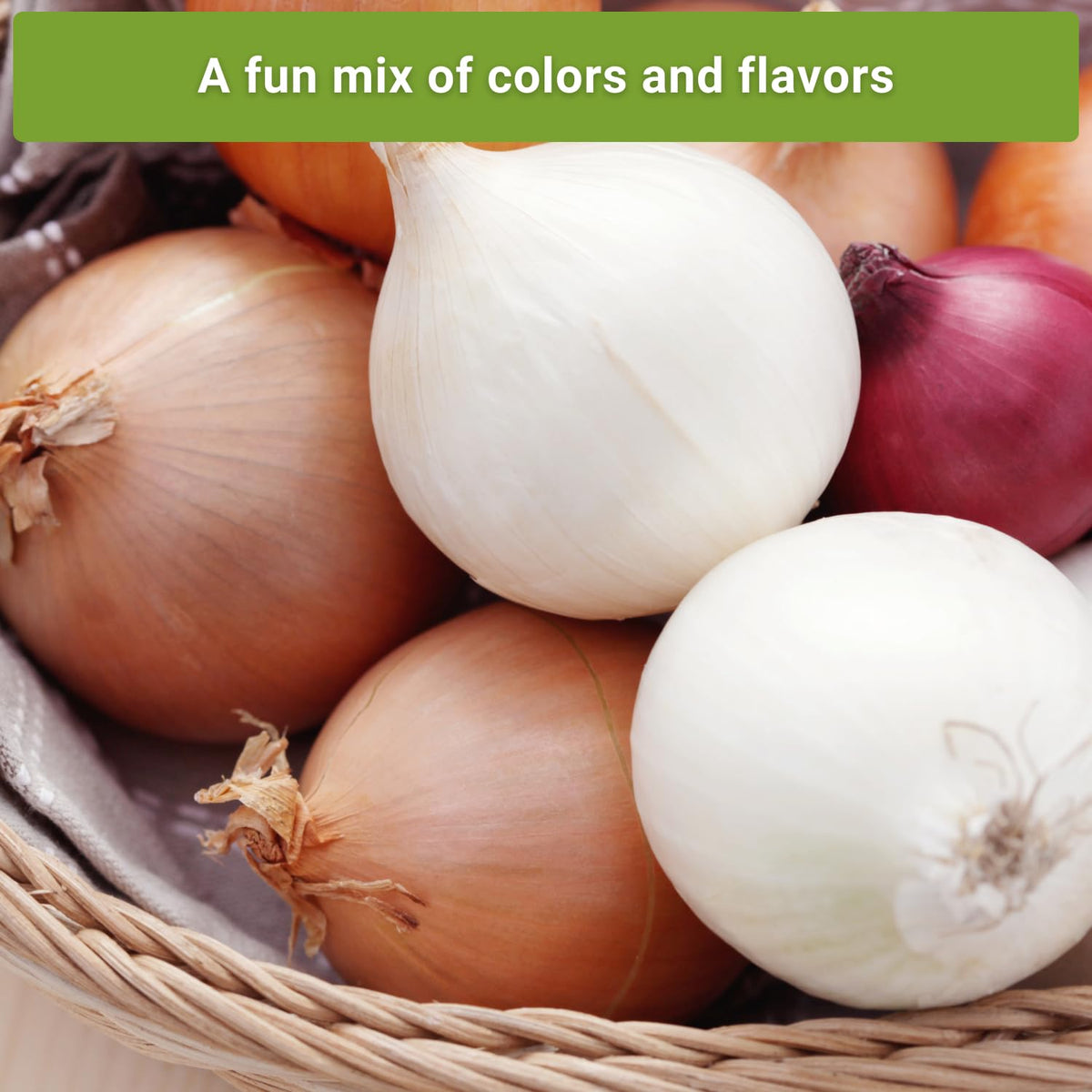 Sow Right Seeds Home garden onion planting setup with seeds