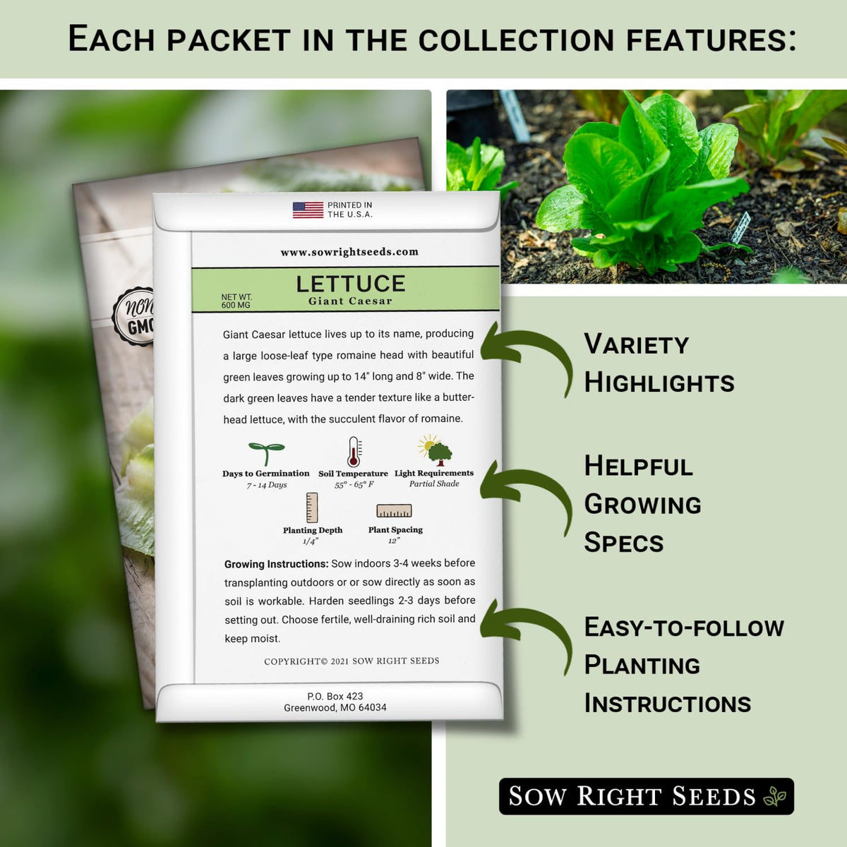 Sow Right Seeds indoors setup with lettuce seeds for year round hydroponics.