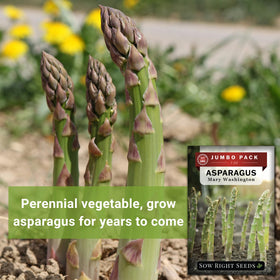 Sow Right Seeds instructions included for Mary Washington planting