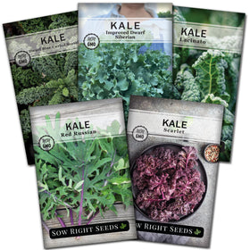 Sow Right Seeds kale collection packets with five vibrant varieties for garden and table