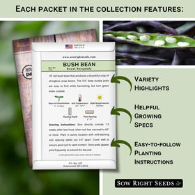 Sow Right Seeds Kentucky Contender bean packet with growing instructions.