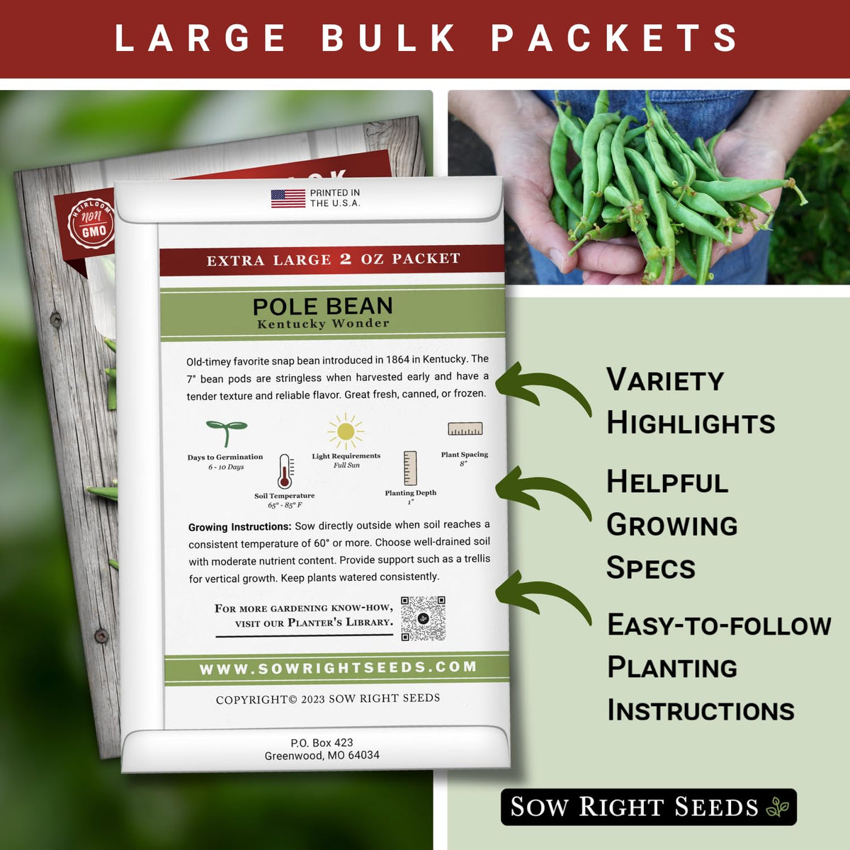 Sow Right Seeds Kentucky Wonder pole bean vines growing and climbing a trellis.