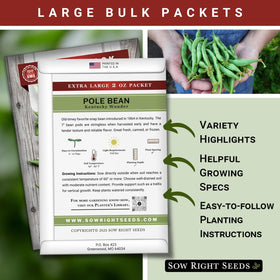 Sow Right Seeds Kentucky Wonder pole bean vines growing and climbing a trellis.