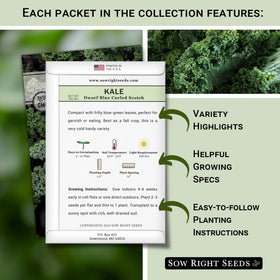 Lacinato kale leaves from Sow Right Seeds variety, dark green and savoyed
