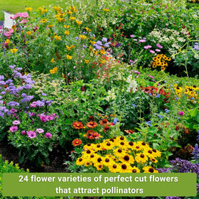 Sow Right Seeds large flower farm cosmos seeds bring delicate color and long-lasting accents